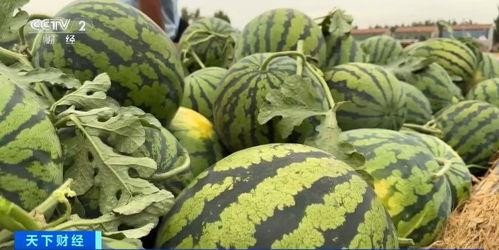 吃瓜李,揭秘娱乐圈幕后故事