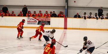 加拿大冰球队明星,闪耀冰场的传奇英雄