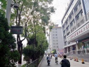 太原头条杏花岭,太原头条聚焦美丽花海盛景