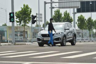 车界网红,揭秘汽车圈新势力