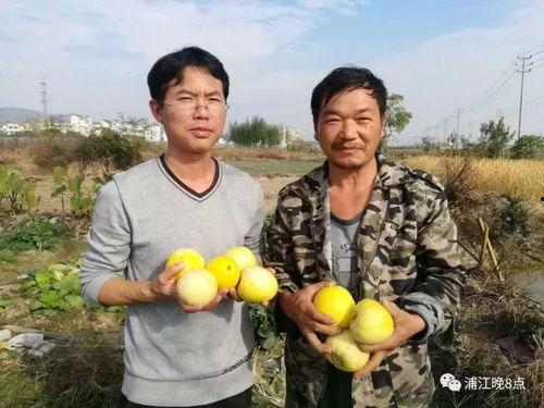 吃瓜群众的小品,笑谈人间百态