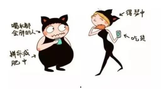 瘦子先生51爆料,揭秘娱乐圈不为人知的幕后故事