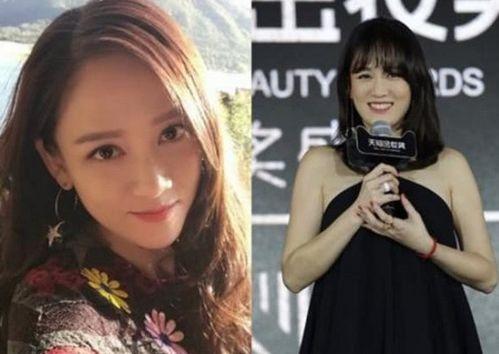 明星逆袭成功,逆袭之路的辉煌蜕变