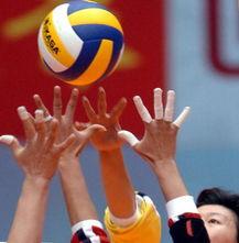 女排李珊爆料了吗视频播放,独家爆料视频播放引关注