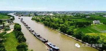 大运河副中心网红直播,大运河副中心网红打卡地大揭秘