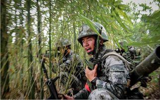 步兵精英最新爆料视频,揭秘战场精英的神秘训练与实战技巧