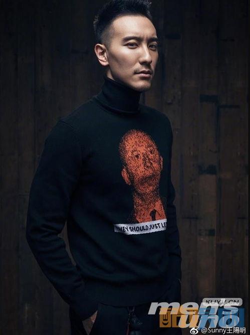 明星王阳明,心学大师与明代风云人物