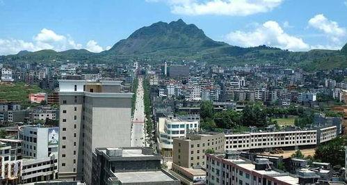 通山县杨林镇新闻头条,聚焦乡村振兴新篇章