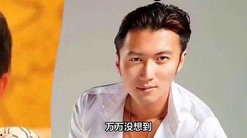 谢霆锋vs韩国明星,谢霆锋与韩国明星的璀璨较量