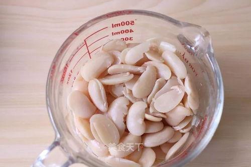 网红ms豆,网络红人的魅力与影响力揭秘