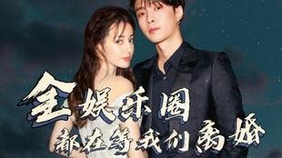 x明星文,揭秘娱乐圈背后的故事与真相