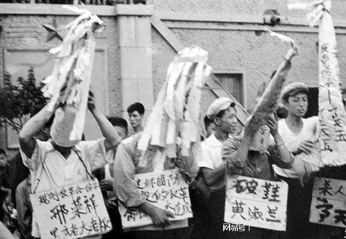 假爱国网红被批斗,揭秘假网红被批斗的荒诞现实