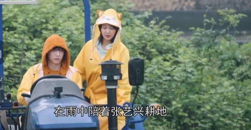 陈大锤最新爆料视频在线观看,揭秘幕后真相，精彩瞬间不容错过