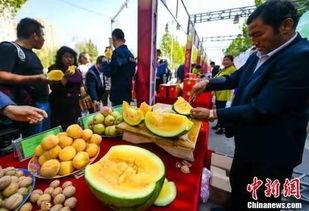 安庆欢乐世界吃瓜,夏日吃瓜盛宴，畅享欢乐时光