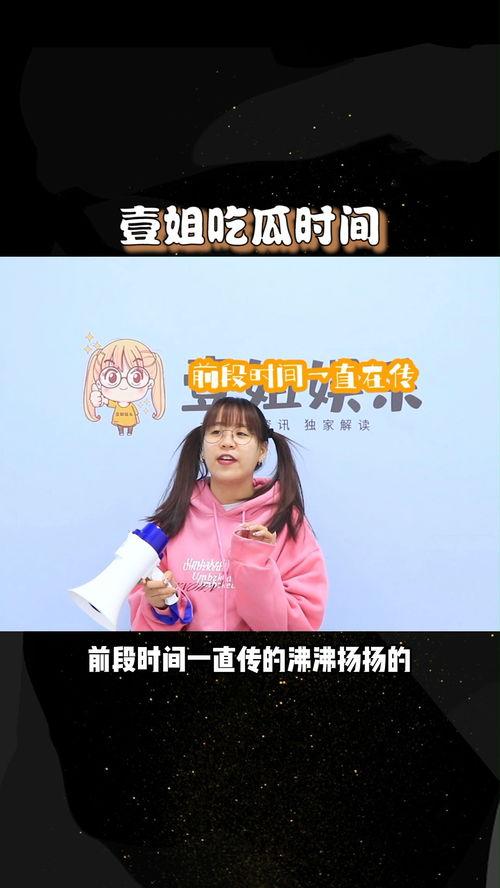 吃瓜一姐小说,揭秘娱乐圈背后的秘密与真相