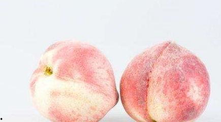 孕妇吃三白瓜好吗,孕妇食用三白瓜的适宜性探讨