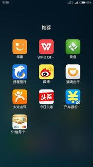 新闻头条山东小米,助力乡村振兴，打造农业新标杆