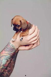 远古唱歌网红纹着花臂,网红的纹身与音乐之旅