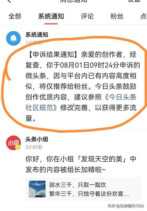 头条小白发布作品,揭秘新媒体时代的创作秘诀