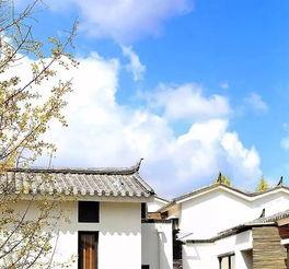 苍山小网红,揭秘网络红人的崛起之路