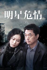 明星危情 概览,揭秘娱乐圈背后的惊心动魄