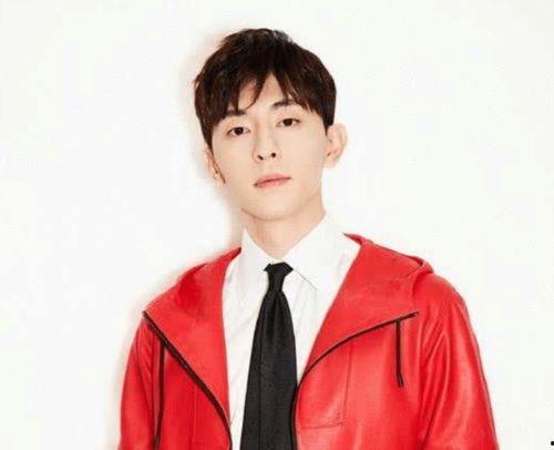 明星李绒是谁,闪耀娱乐圈的璀璨明星