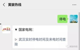 黄陂王家河新闻头条,事故详情及救援进展揭晓