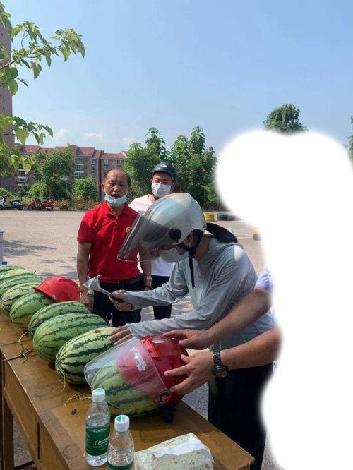 河南濮阳吃瓜事件