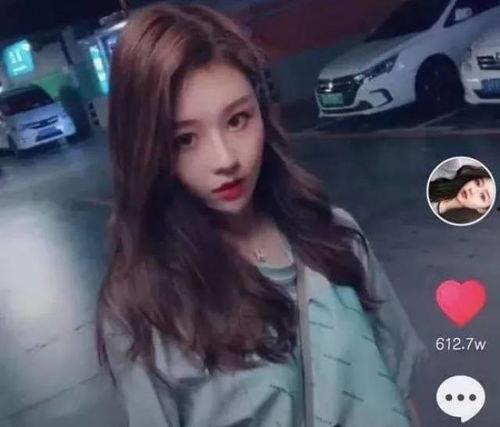 如东抖音网红事件视频,揭秘网络红人背后的真相与争议