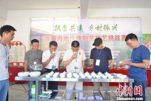 南阳茶乡新闻头条,探寻千年茶文化的绿色秘境